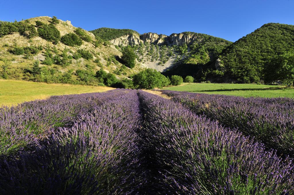 Vvf Drome Provence Ξενοδοχείο Montbrun-les-Bains Εξωτερικό φωτογραφία