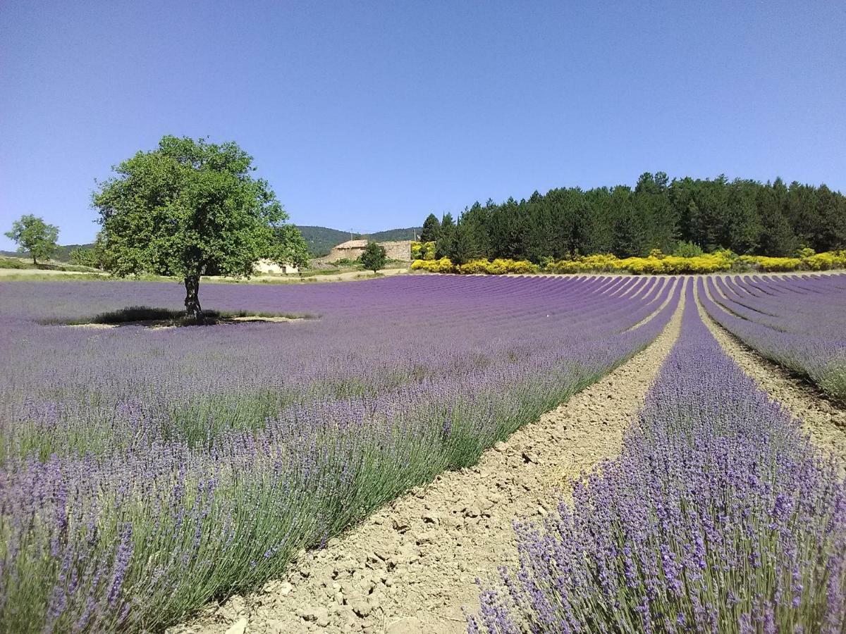 Vvf Drome Provence Ξενοδοχείο Montbrun-les-Bains Εξωτερικό φωτογραφία